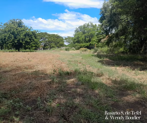 Terrenos en zona industrial estratégica – Managua - Imagen 12