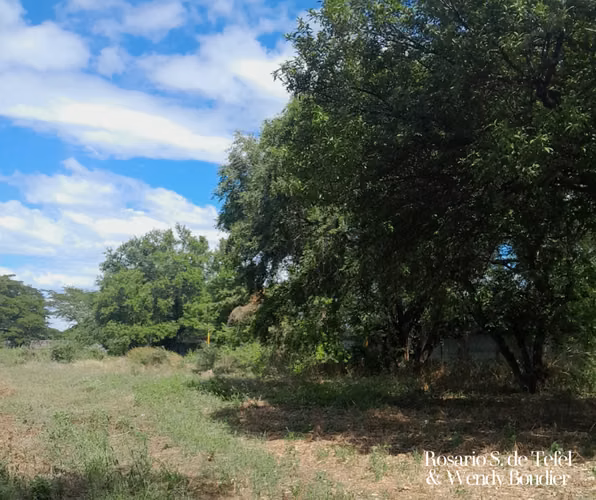 Terrenos en zona industrial estratégica – Managua - Imagen 4