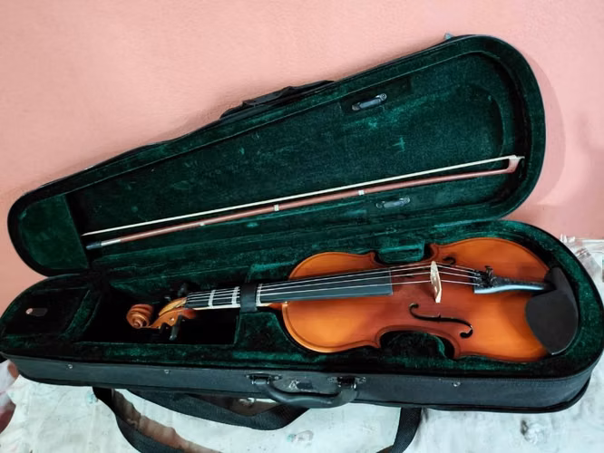 Violin Palmer Praga