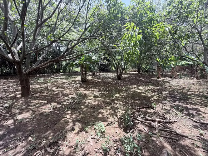 FH | En Venta Terreno | Nindirí - Imagen 7
