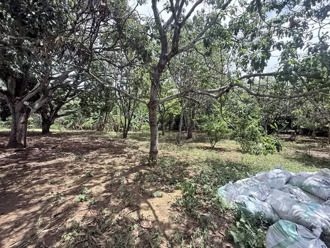 FH | En Venta Terreno | Nindirí - Imagen 2