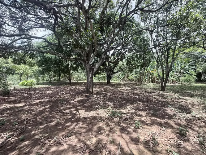 FH | En Venta Terreno | Nindirí - Imagen 5