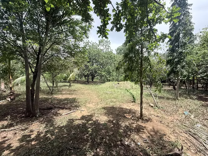 FH | En Venta Terreno | Nindirí - Imagen 3