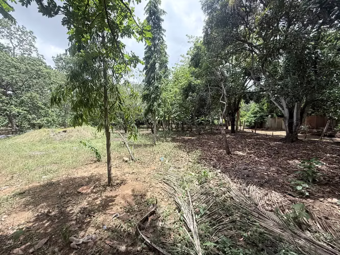 FH | En Venta Terreno | Nindirí - Imagen 4