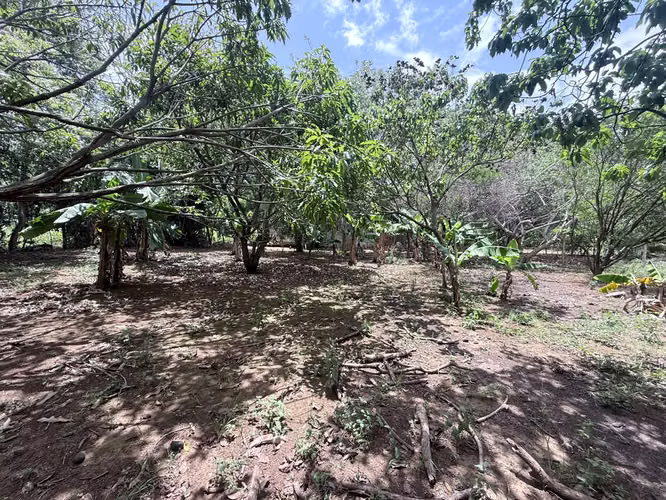 FH | En Venta Terreno | Nindirí - Imagen 6