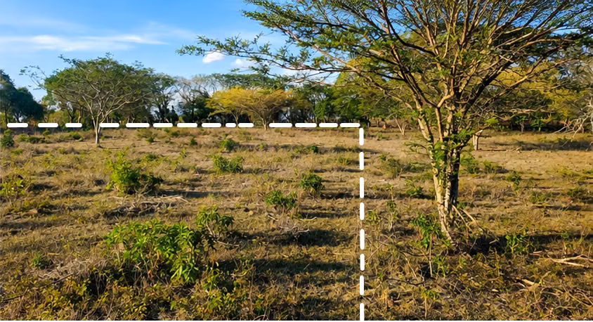  ¡OPORTUNIDAD DE INVERSIÓN Y CONSTRUCCIÓN EN LA TUNOSA, ESTELÍ!  - Imagen 7