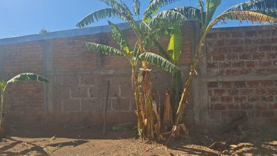 Terreno en venta de 722 varas cuadradas – Excelente ubicación y potencial residencial - Imagen 7