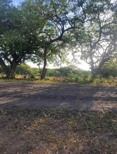 FINCA GANADERA EN VENTA, CARRETERA A PONELOYA