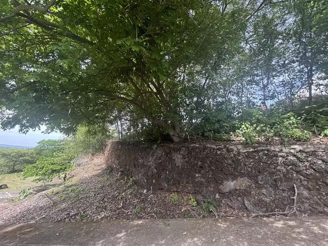 Terreno elevado con privacidad y vistas a Granada