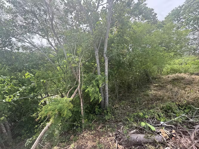 Terreno elevado con privacidad y vistas a Granada