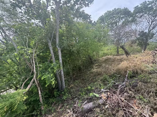 Terreno elevado con privacidad y vistas a Granada