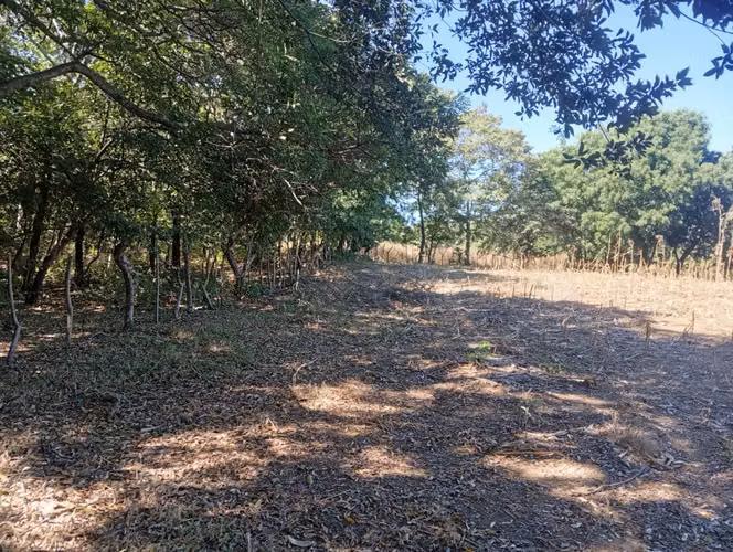 Vendo Finca ganadera 30 mz Salinas Grandes