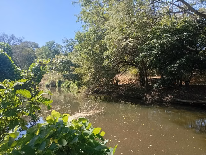 Vendo Finca ganadera 30 mz Salinas Grandes