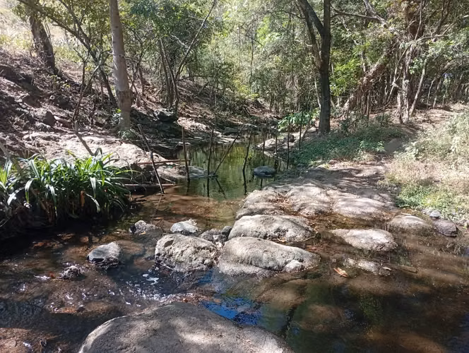 Vendo Finca ganadera 30 mz Salinas Grandes