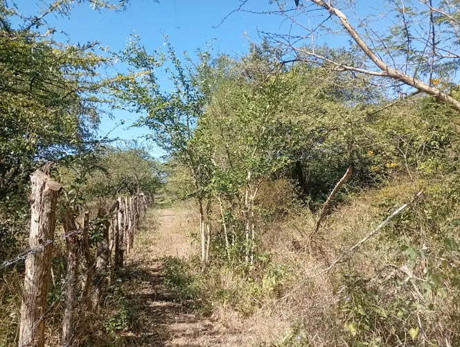 Vendo Finca ganadera 30 mz Salinas Grandes