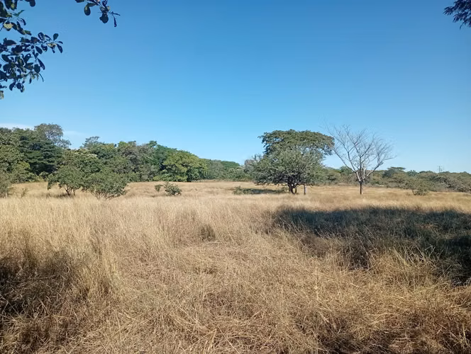 Vendo Finca ganadera 30 mz Salinas Grandes