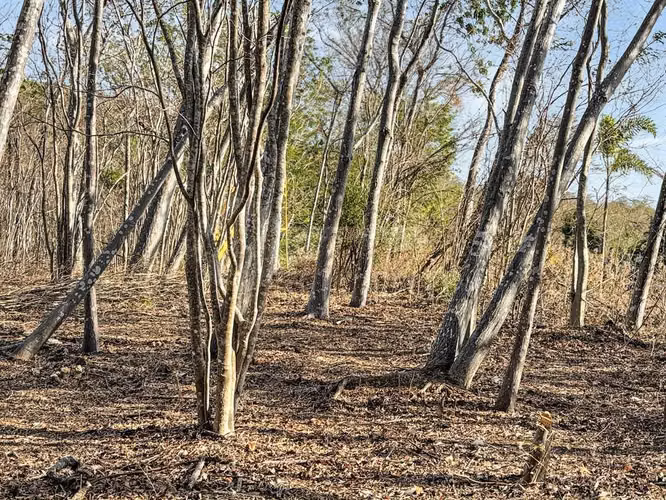 Terreno en venta en Encanto del Sur, San Juan del Sur - Imagen 10