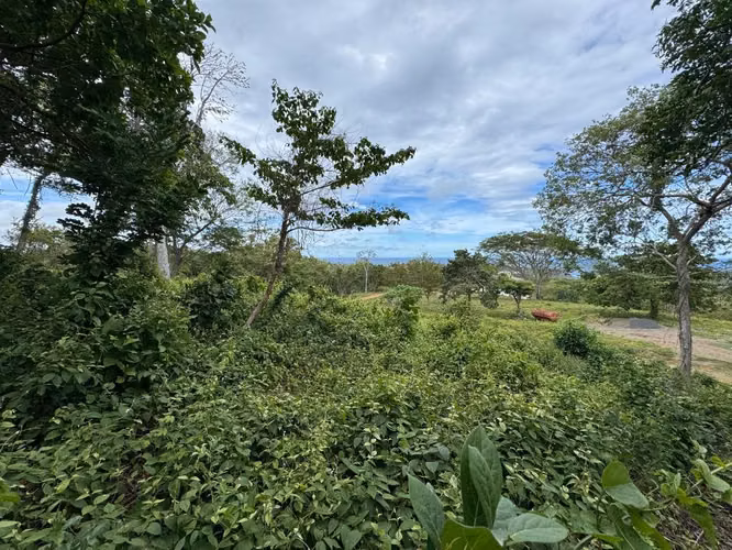 P8 - Mejor vista con acceso a TreeCasa Resort