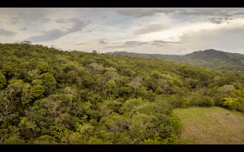 Spacious Tropical Forest Lots Near Escamequita   San Juan del Sur