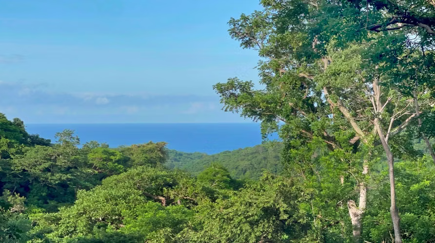 Prime Ocean View Lots for Residential Development - Imagen 4