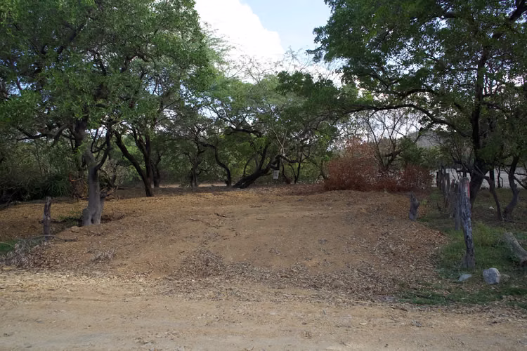 Steps from the Sand, Lot in Playa Jiquelite - Imagen 1
