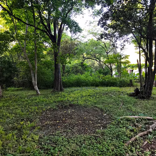 Exceptional Beach Lot in Hacienda Iguana, Nicaragua   B 20 - Imagen 2