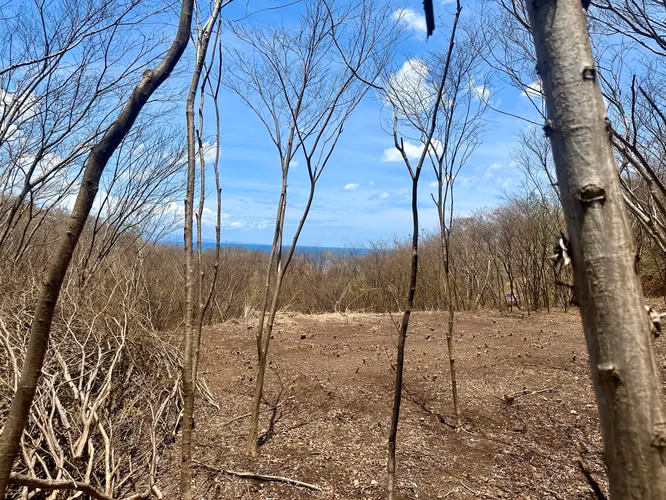 Tranquil Flat Lot Near the Beautiful Playa Yankee - Imagen 3