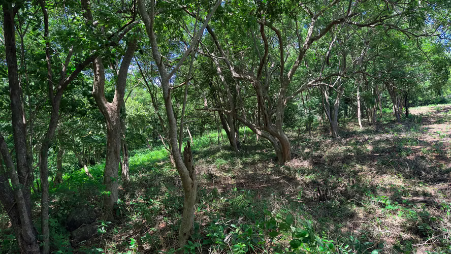Property with Panoramic Mountain and Valley Views - Imagen 4