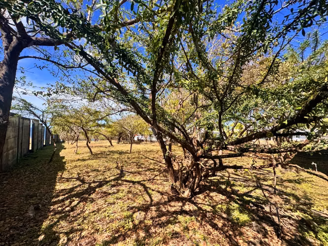 Exclusive Oceanfront Cliffside Lot   Security, Privacy   Panoramic Views - Imagen 3