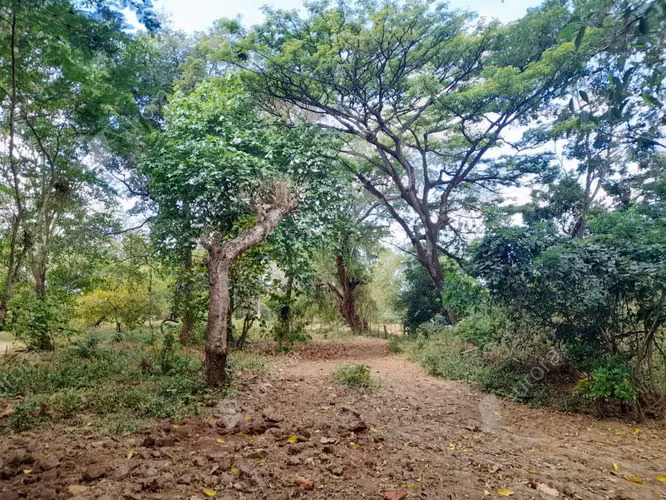 99 acre farm on the road to Poneloya