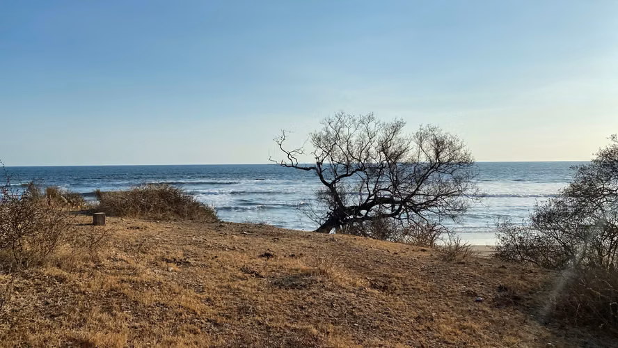 Tranquil Beachfront Haven in Playa Hermosa, Leon - Imagen 4