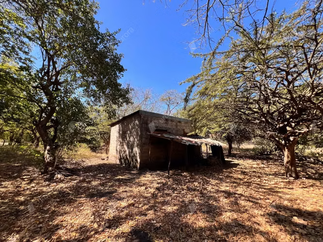 Farm with Fruit Trees, House, and Easy Access between Leon City and Poneloya Las Pe itas Beach - Imagen 2