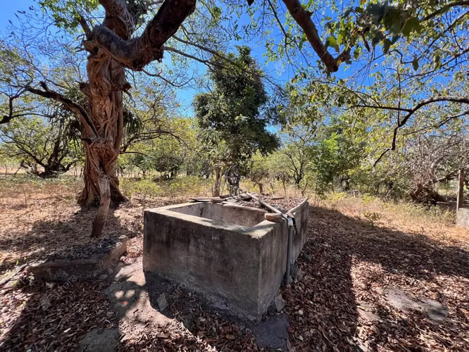 Farm with Fruit Trees, House, and Easy Access between Leon City and Poneloya Las Pe itas Beach - Imagen 3