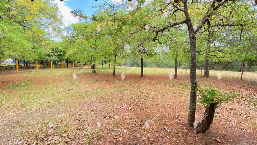 AL2716 Amazing property at El Transito - Imagen 3