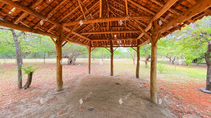 AL2716 Amazing property at El Transito