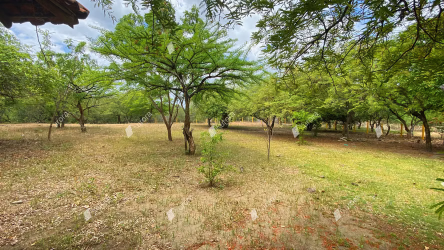 AL2716 Amazing property at El Transito - Imagen 2