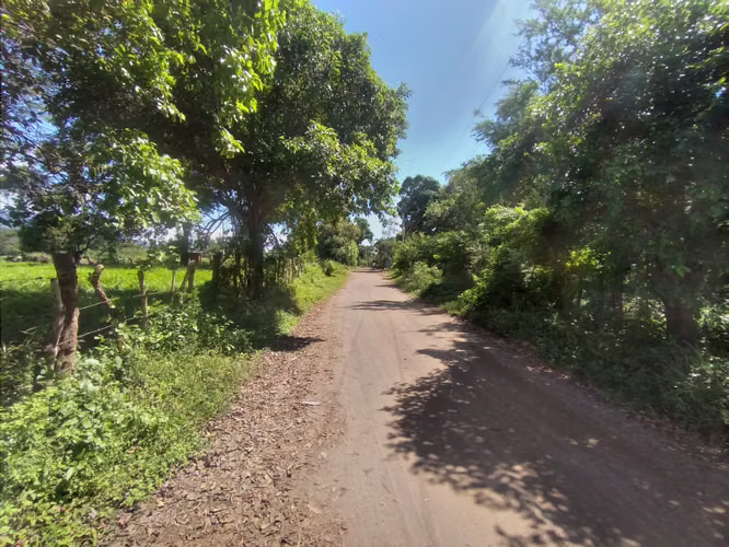 30 acre farm in Nandaime - Imagen 3
