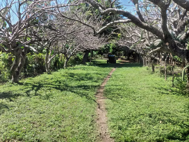 30 acre farm in Nandaime - Imagen 4