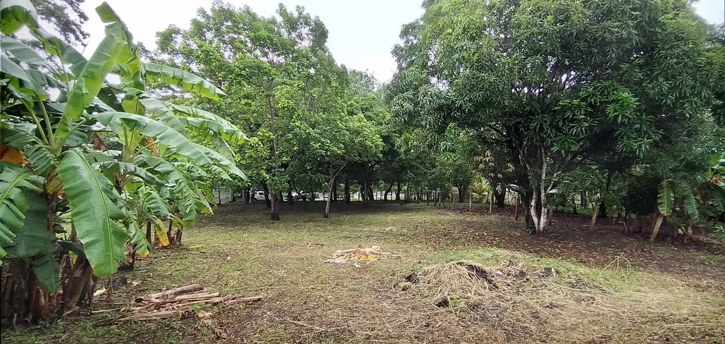 4 bedroom home next to Mombacho. - Imagen 4