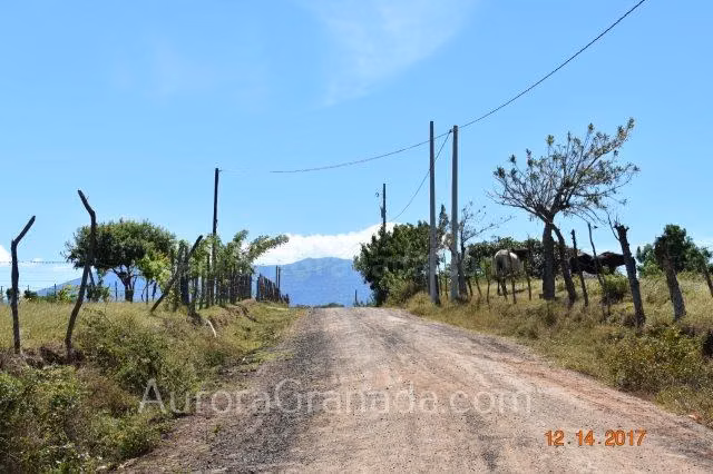 GRA 0044 Lots Los Balcones Half or 1 Acre - Imagen 1