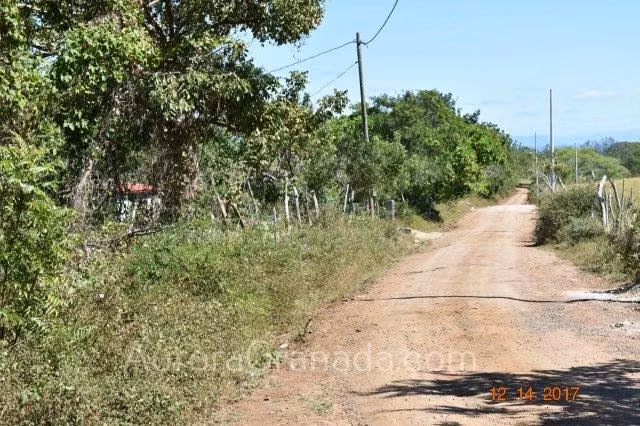 GRA 0044 Lots Los Balcones Half or 1 Acre - Imagen 4