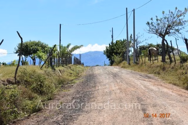 GRA 0044 Lots Los Balcones Half or 1 Acre - Imagen 2