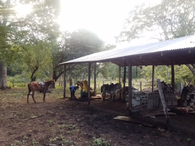 700 acres farmland - Imagen 2