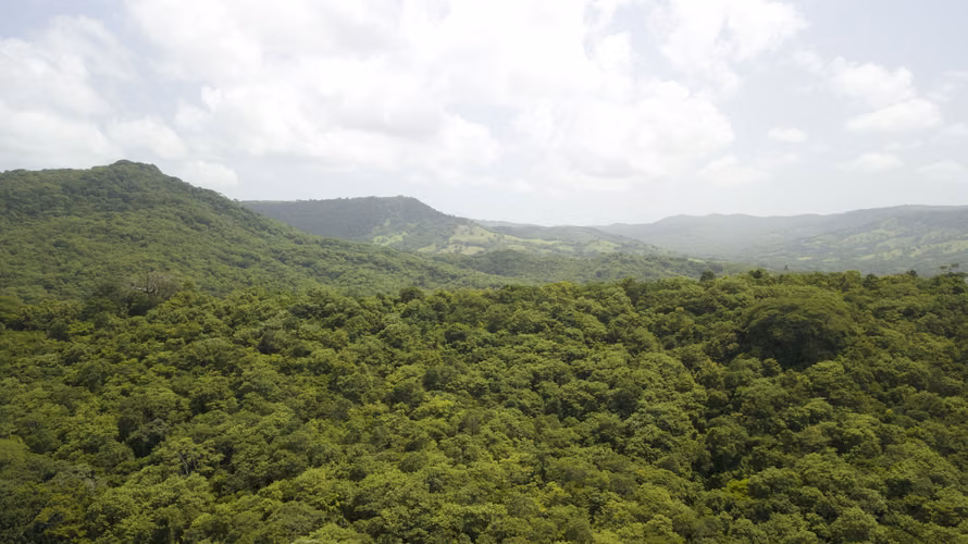 Spacious Tropical Forest Lots Near Escamequita   San Juan del Sur - Imagen 2