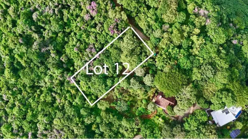 Costa Dulce Lot with Panoramic Ocean Views - Imagen 2