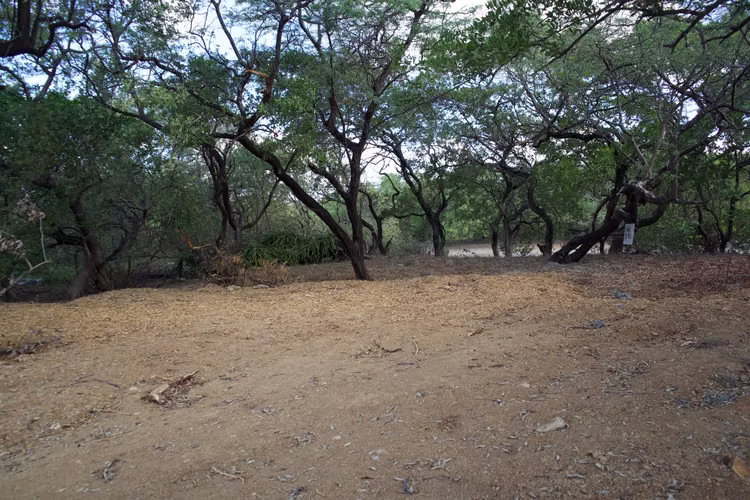 Steps from the Sand, Lot in Playa Jiquelite - Imagen 3