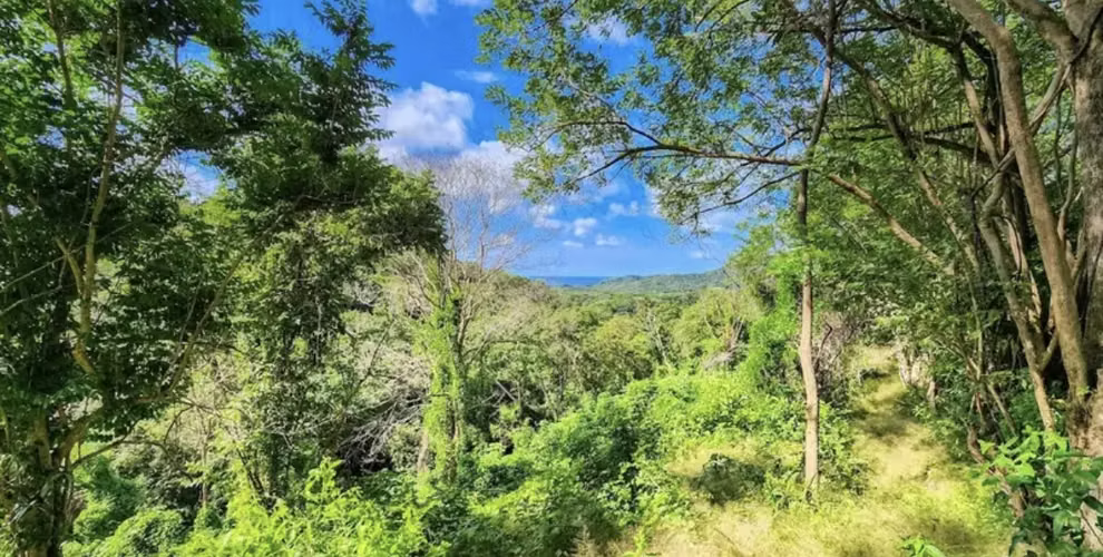 Expansive 75 Acre Mountain Forest in San Juan del Sur