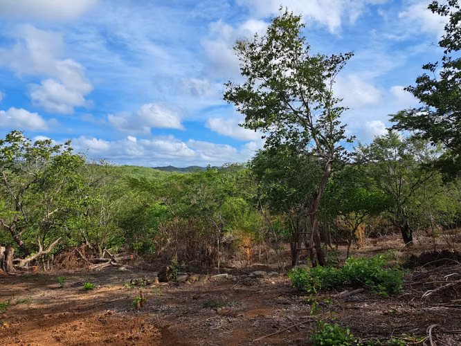 Affordable Ocean View Lot in Playa Guasacate Nicaragua - Imagen 2