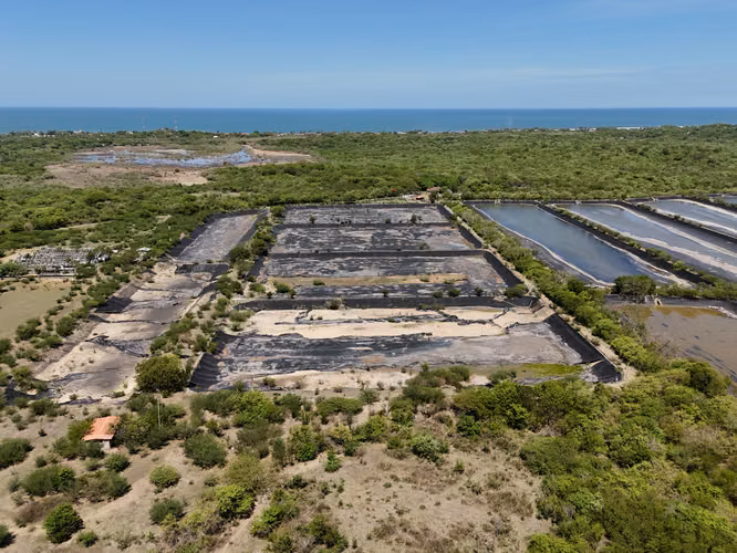 Shrimp aquaculture farm for sale - Imagen 3
