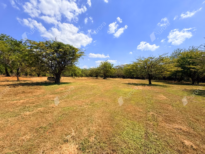 Coastal Farm with Strong Development Potential in Jiquilillo, 6 Manzanas Steps from the Beach - Imagen 3